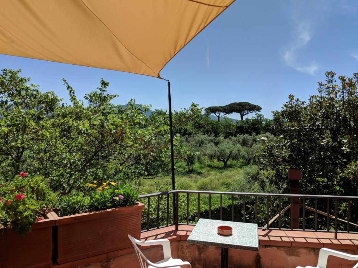 Villa Rosa Lifestyle B&B Sessa Aurunca Exterior photo